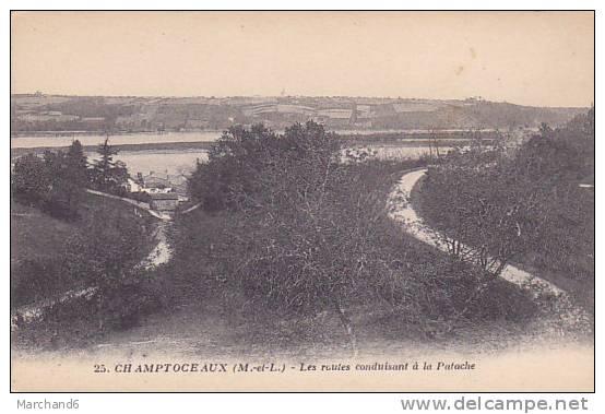 MAINE ET LOIRE CHAMPTOCEAUX LES ROUTES CONDUISANT A LA PATACHE Editeur J Nozais - Champtoceaux