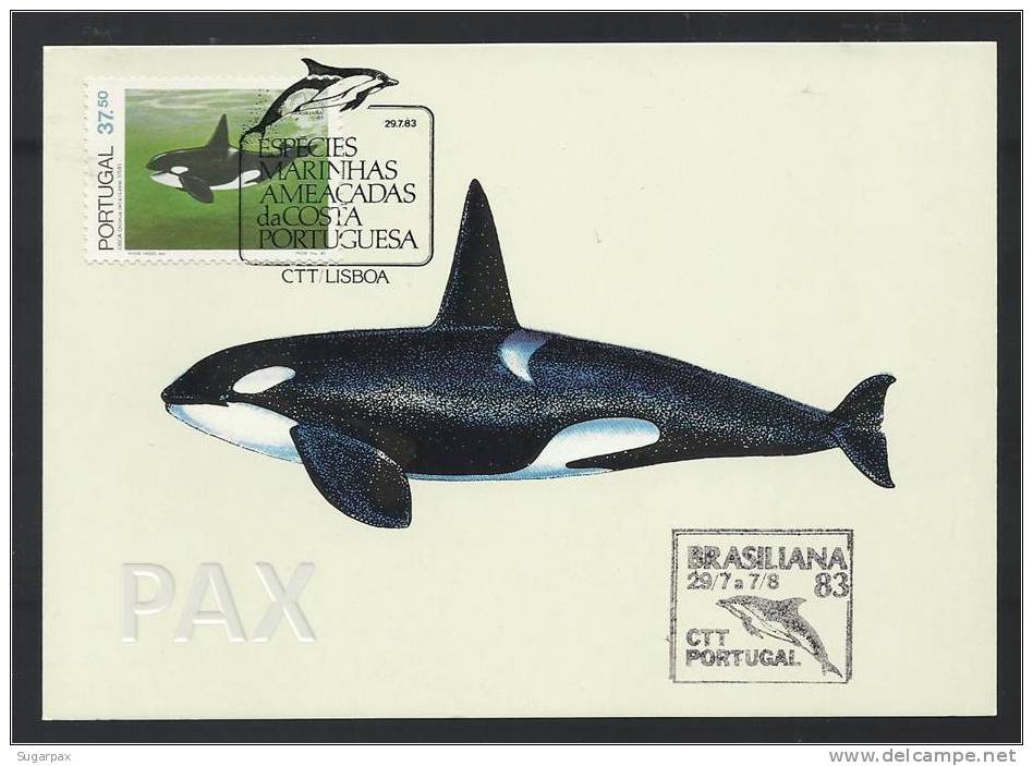 PORTUGAL BRASIL - ORCA - ESPÉCIES MARINHAS AMEAÇADAS DA COSTA PORTUGUESA - BPC 41 - 2 SCANS - CARTE MAXIMUM - MAXICARD - Maximumkaarten