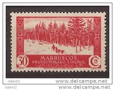 MA153-LA811TVA.Maroc.Mar Occo.MARRUECOS ESPAÑOL VISTAS Y PAISAJES.bosque .1935/7.(Ed 153*) Con Charnela MAGNIFICO.RARO - Otros & Sin Clasificación