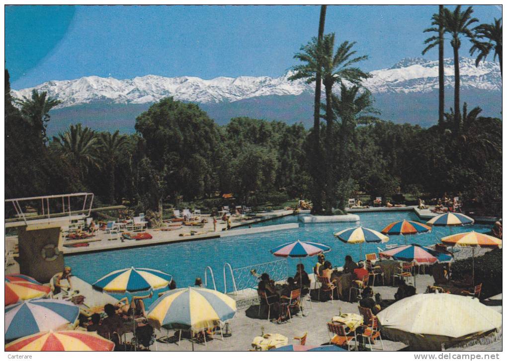 AFRIQUE,AFRICA,MAROC,MOROCCO,MARRAKECH,IL Y A 39 ANS,HOTEL MAMOUNIA,PISCINE,PARASOL - Marrakech