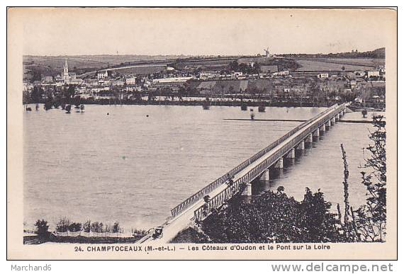 MAINE ET LOIRE CHAMPTOCEAUX LES COTEAUX D OUDON ET LE PONT SUR LA LOIRE Editeur F Chapeau - Champtoceaux