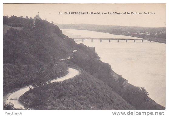 MAINE ET LOIRE CHAMPTOCEAUX LE COTEAU ET LE PONT SUR LA LOIRE Editeur F Chapeau - Champtoceaux