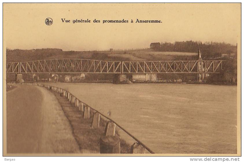 Carte Postale Serie Hotel De La Meuse Anseremme Vue Générale Des Promenades - Dinant