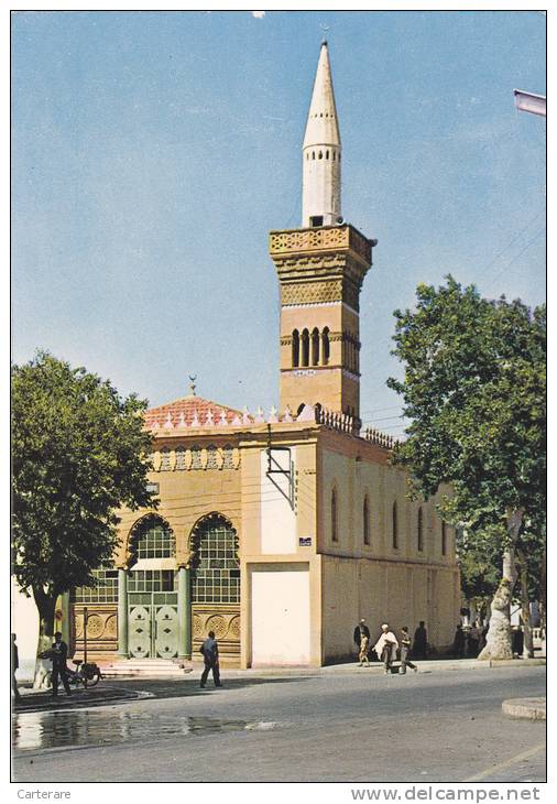 AFRIQUE,FRANCE COLONIES,MAGHREB,SETIF,MOSQUEE,TEMPLE,RUE ANIMEE,MOTOBECANE - Setif