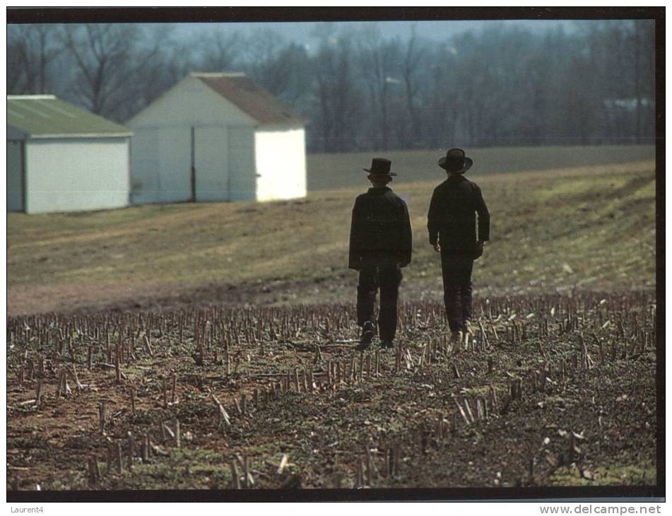 (666) Amish Tradition - Zonder Classificatie