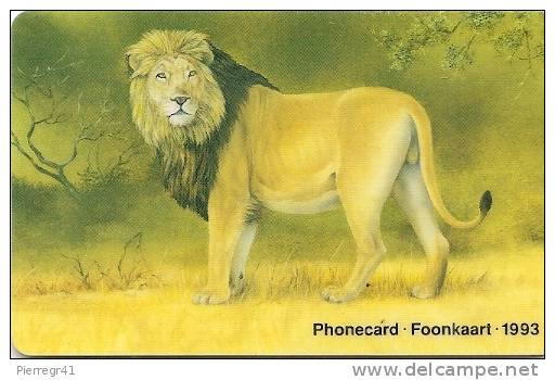 CARTE-PUCE-1993-SUD AFRIQUE-LION SAVANE-R° GLACE-TBE-LUXE-RARE - Oerwoud