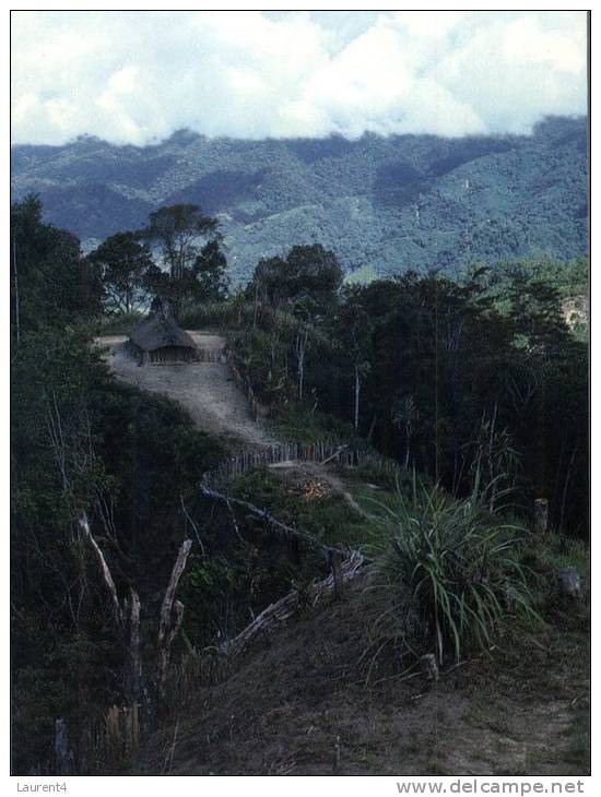 (300) Papua New Guinea - Papaousie Nouvelle Guinée - Papua-Neuguinea