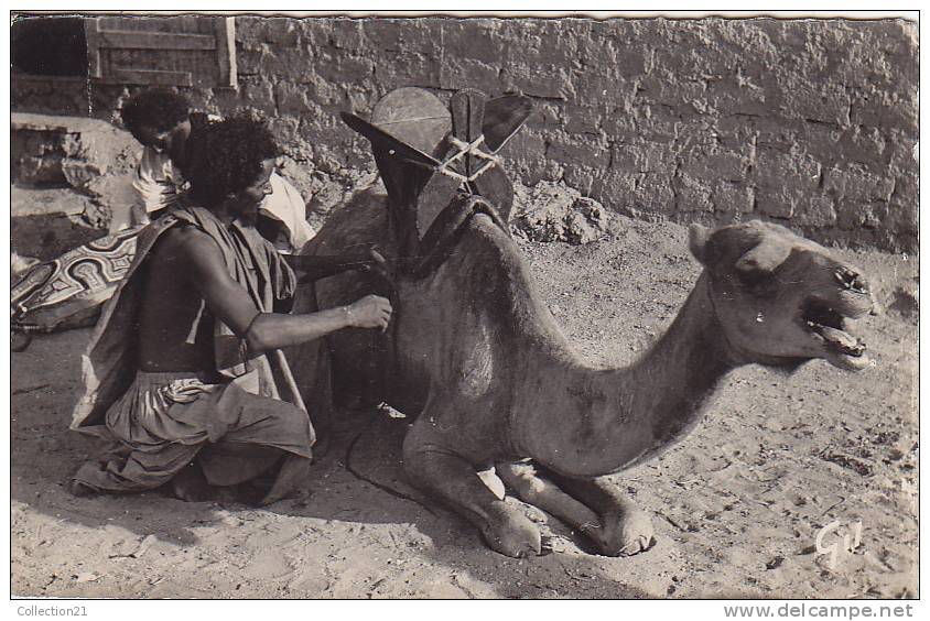 MAURITANIE ... MAURE SELLANT SA MONTURE - Mauritania