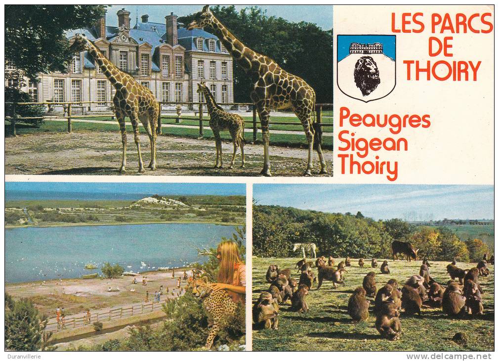 78 - Château De THOIRY En YVELINES - Les Parcs De Thoiry - 3 Vues Girafes - Singes - Léopard - Thoiry