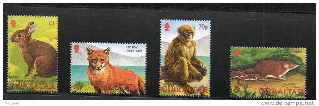 GIBRALTAR N° 1011/1014 ** - LAPIN - RENARD - SINGE Et MUSARAINE - Cote 10 &euro; - Hasen