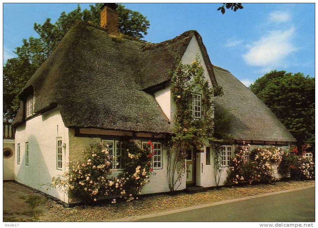 01023 NIEBLUM Auf FÖHR - Friesenhaus In Nieblum - Föhr