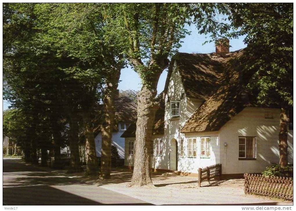 01024 NIEBLUM Auf FÖHR - Friesenhaus In Nieblum - Föhr