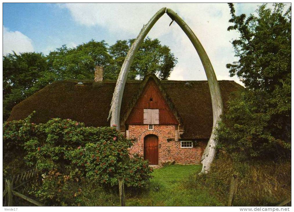 01034 WYK Auf FÖHR - Friesenmuseum - Föhr