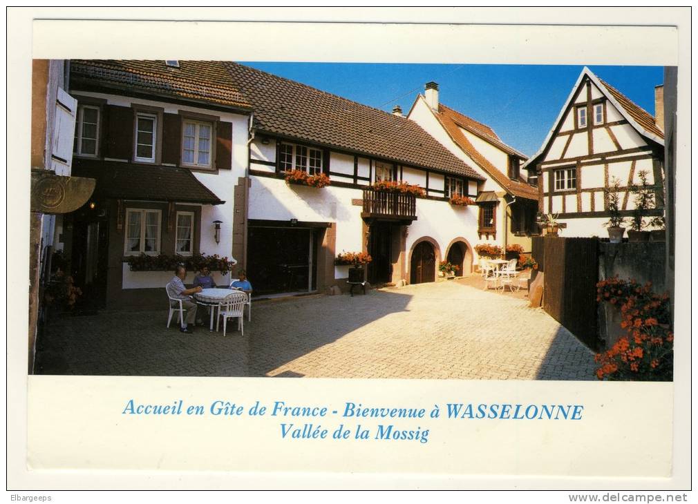 Bienvenue à Wasselonne - Accueil En Gite De France - Vallée De La Mosig   ( Voir 2 Scans ) - Wasselonne