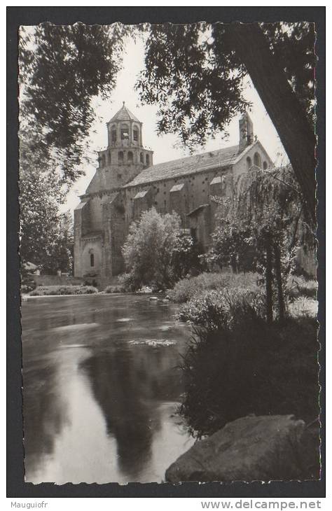 DF / 84 VAUCLUSE / LE THOR / L' EGLISE ET LA SORGUE - Autres & Non Classés