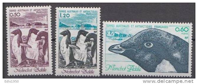 TAAF 1980 - Antarctic  - Birds - Mi 149-51 - MNH - Unused Stamps