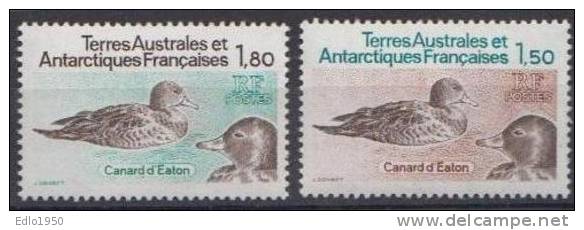 TAAF 1983 - Antarctics - Birds - Mi 172-73 - MNH - Unused Stamps