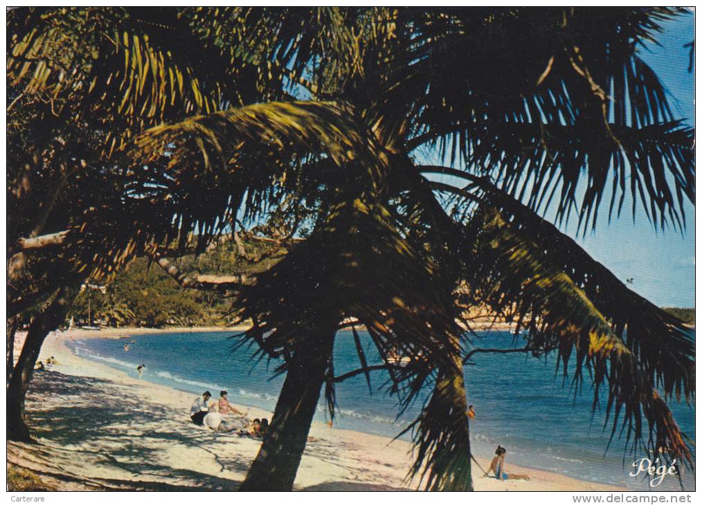 Nouvelle Calédonie,nouméa,archipel D´océanie,océan Pacifique,prés De L´australie Et Nouvelle Zélande,ANSE VATA,PLAGE - New Caledonia