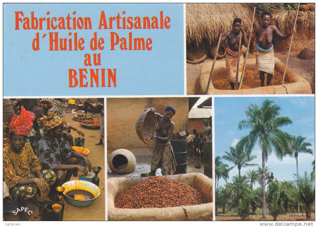 AFRIQUE Ouest,AFRICA,AFRIKA,Bénin,DAHOMEY,FABRIQUE HULE DE PALME,metier,femme Seins Nus,metier,malaxage - Benin