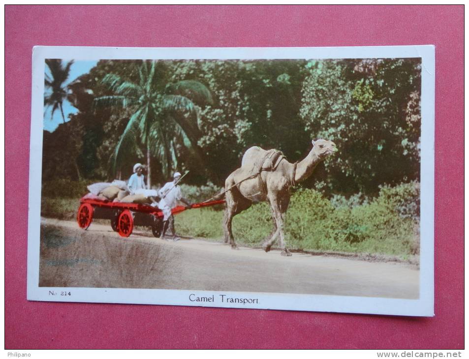 Africa > Kenya  Camel Transport  --- Ref 816 - Kenya