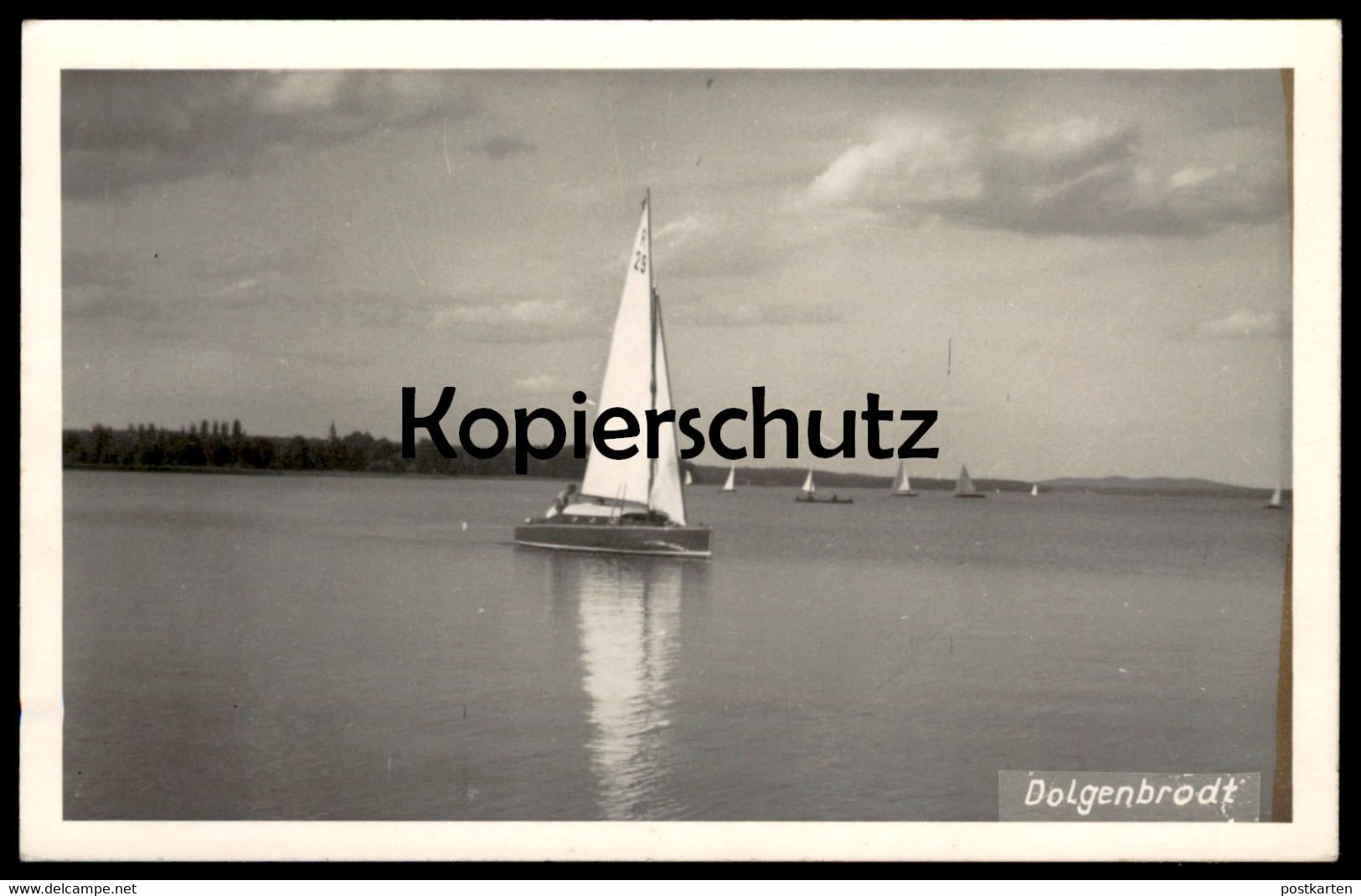 ALTE POSTKARTE DOLGENBRODT HEIDESEE SEEbei Königswusterhausen Segelboot Sailing Boat Voilier Yole Postcard Ansichtskarte - Königs-Wusterhausen