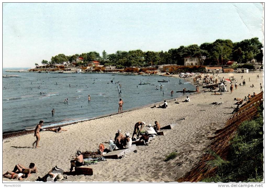 SAINT AYGULF : La Plage, Section De Fréjus - Saint-Aygulf