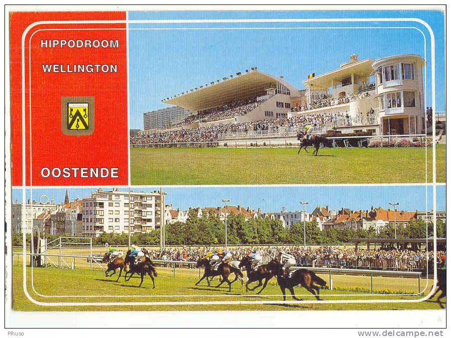 ST-72    STADION / STADIUM : OOSTENDE - Hippodroom Wellington - Horse Show