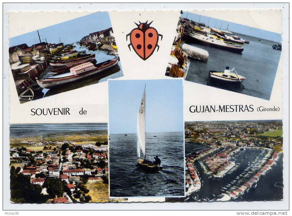 Souvenir De GUJAN-MESTRAS--1967--Vues Diverses(coccinelle),cpsm 10 X 15  N°10C Par Combier - Gujan-Mestras