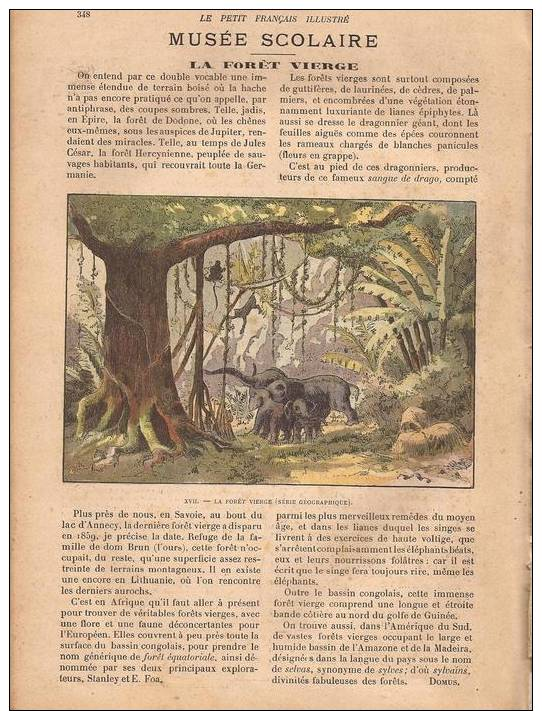 Le Petit Français Ilustré N° 290 17/06/1905:: L´hélicoptère DUFAUX : 2 P Et 1 Photo - L´horloge : 3P - La Forêt Vierge 1 - 1900 - 1949