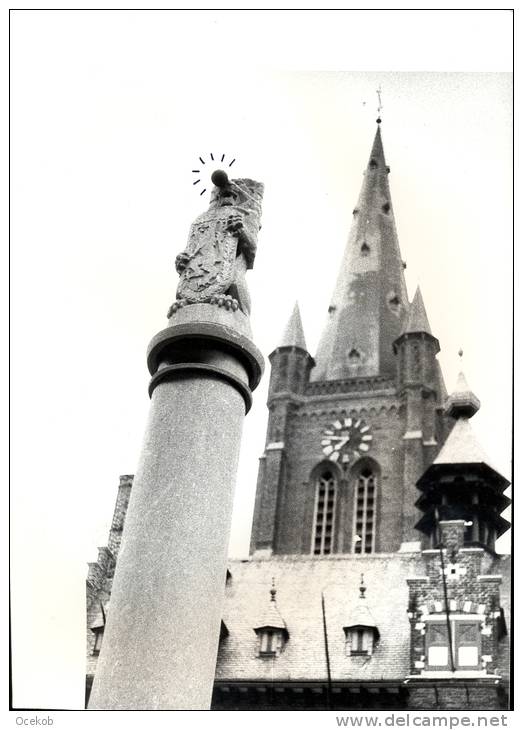 Pers Foto Moens - Eeklo - Markt - Leeuw Met Feestneus - Other & Unclassified