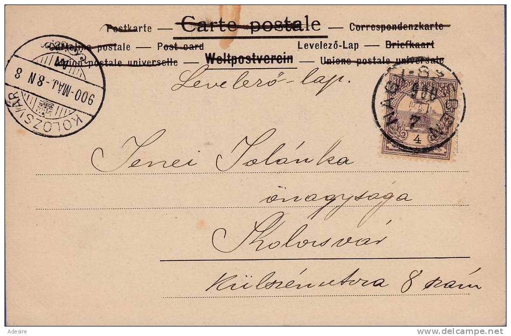 Sehr Schöne Patriotische Jugendstikarte 1900, Stempel Kolozsvar Und Nagy.Szeben - Sonstige & Ohne Zuordnung