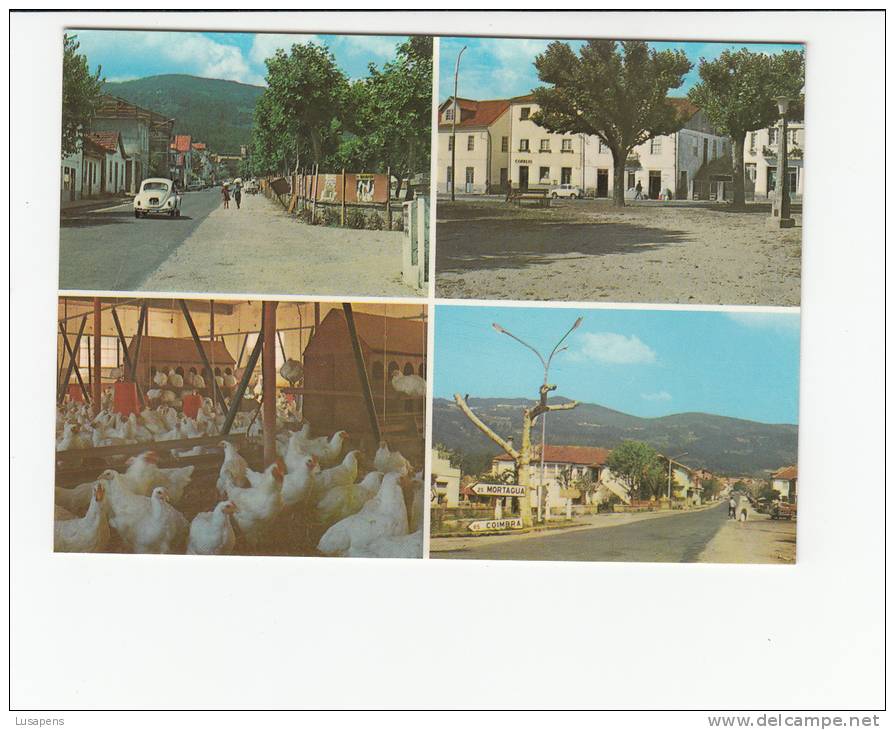 Portugal Cor 20677 - CAMPO DE BESTEIROS - DIVERSOS ASPECTOS -  CORREIOS -VW GALINHAS COQ POULET - Viseu