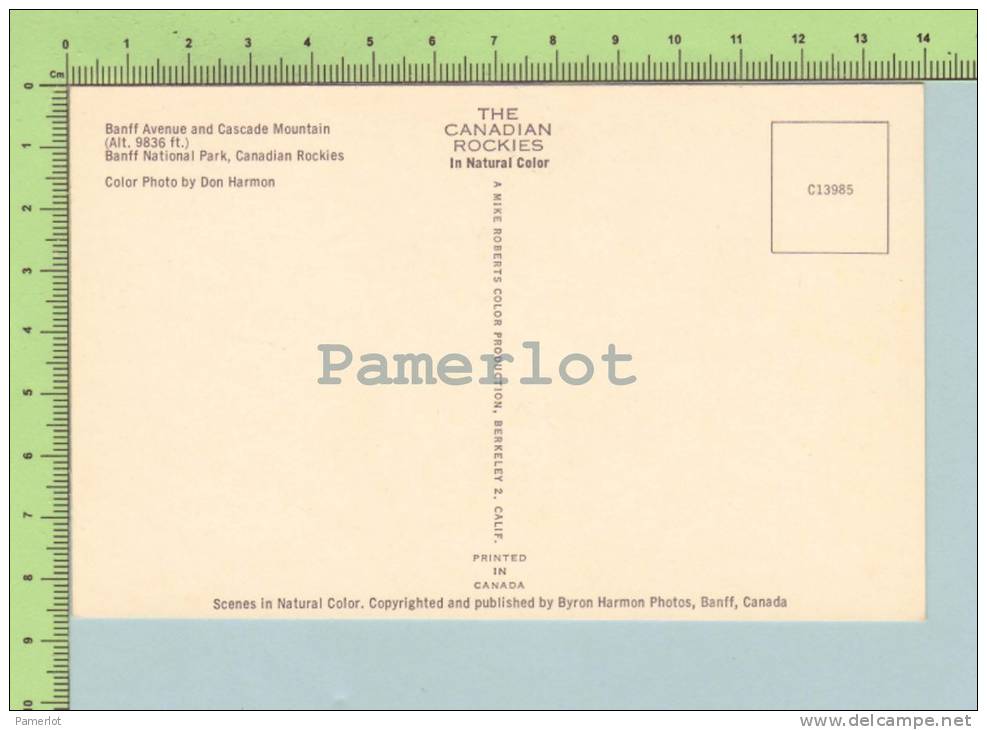 Old Car  (  Banff Avenue And Cascade Mountail ) Post Card Carte Postale - Banff