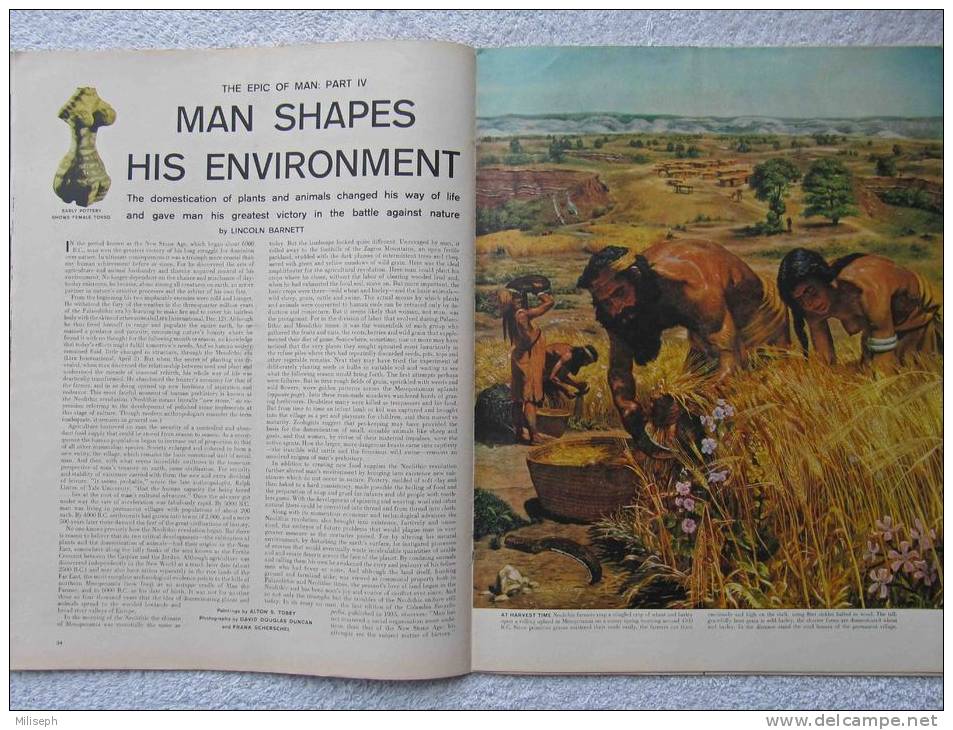 Magazine LIFE - MAY 28 , 1956 - INTER. ED. -  GRACE KELLY  - SABENA - Publicités   (3044) - Nieuws / Lopende Zaken