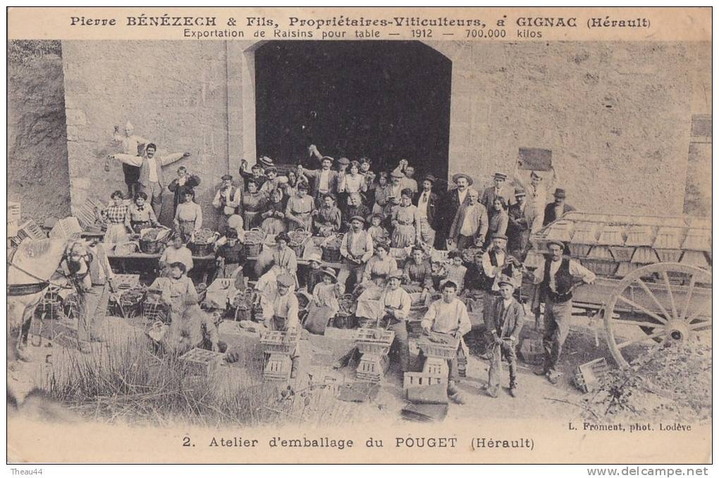 -  2  -  GIGNAC  -  Atelier D'emballage Du Pouget  -  Pierre Bénézech & Fils Propriétaires, Viticulteurs En 1912  - - Gignac