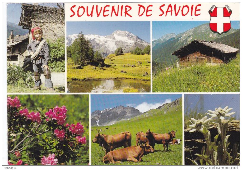 Cp , RÉGIONS , RHÔNE-ALPES , Souvenir De Savoie , Multi-Vues , Vaches , Petit Ramoneur , Détails Au Verso - Rhône-Alpes