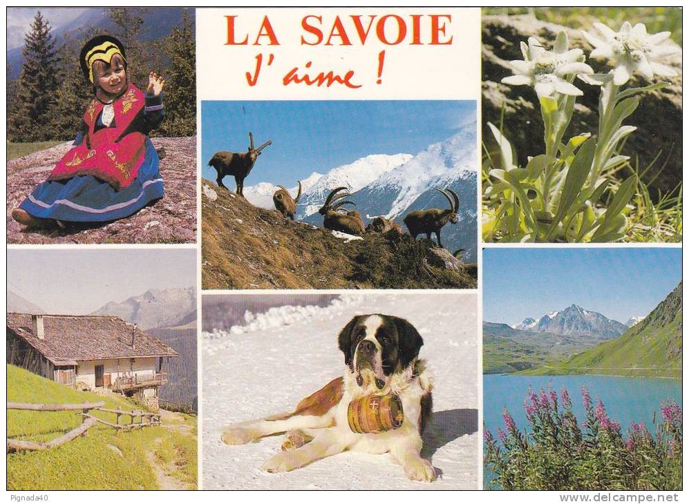 Cp , RÉGIONS , RHÔNE-ALPES , La Savoie J'aime ! , Multi-Vues , Détails Au Verso - Rhône-Alpes