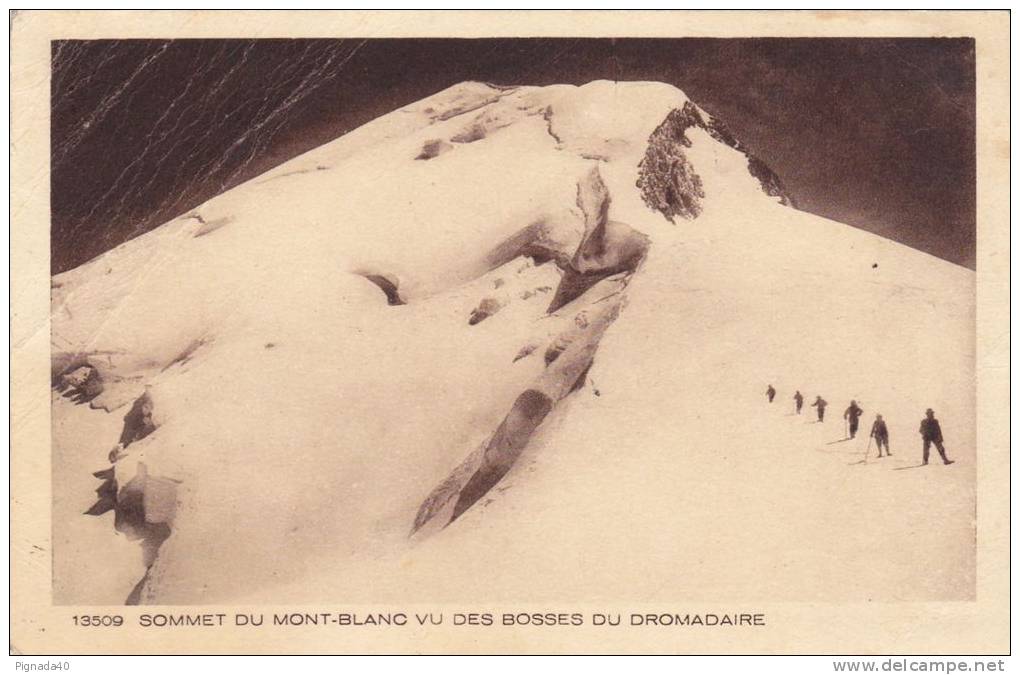 Cp , RÉGIONS , RHÔNE-ALPES , Sommet Du Mont-Blanc Vu Des Bosses Du Dromadaire - Rhône-Alpes