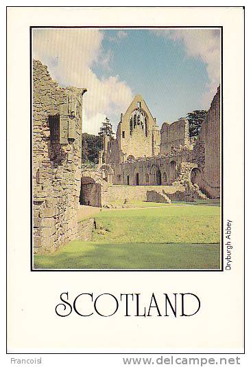 Royaume-Uni. Ecosse. Dryburgh Abbey. Vue Des Ruines. - Berwickshire