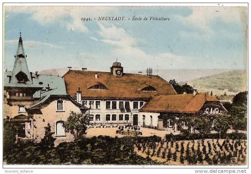 CPA Neustadt Ecole De Viticulture Rhénanie Palatinat Deutschland Allemagne - Neustadt (Weinstr.)