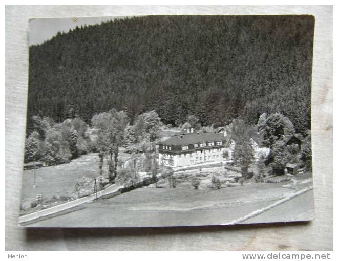 Wurzbach -Thür.   D96389 - Wurzbach