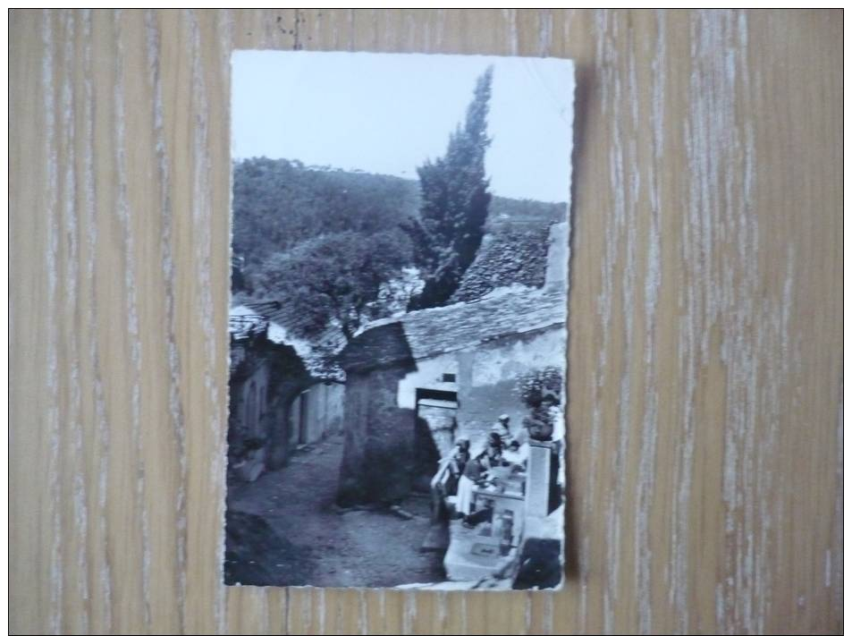 CPSM BIOT - LAVOIR ET PORTE DES MIGRANIERS- - Biot