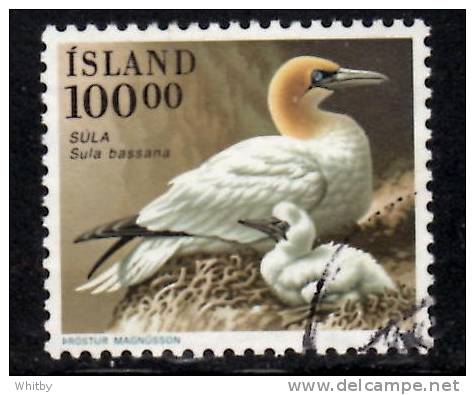 Iceland 1991 100k Sula Bassana Issue #725 - Gebruikt