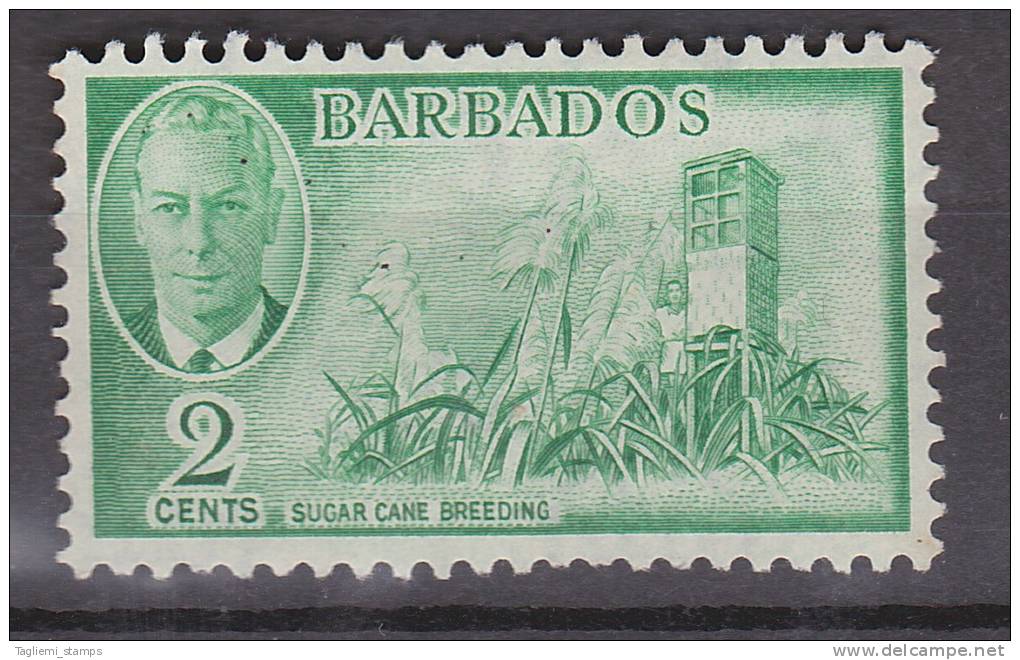 Barbados, 1950, SG 272, Used - Barbados (...-1966)