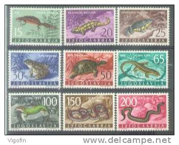 YU 1962-1007-15 FAUNA, YUGOSLAVIA, 9v , MNH - Autres & Non Classés