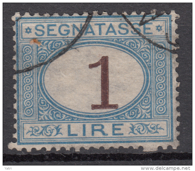 Regno D'Italia - 1870 Segnatasse (usato) 1 Lira Azzurro Chiaro E Bruno Sass. 11 - Strafport