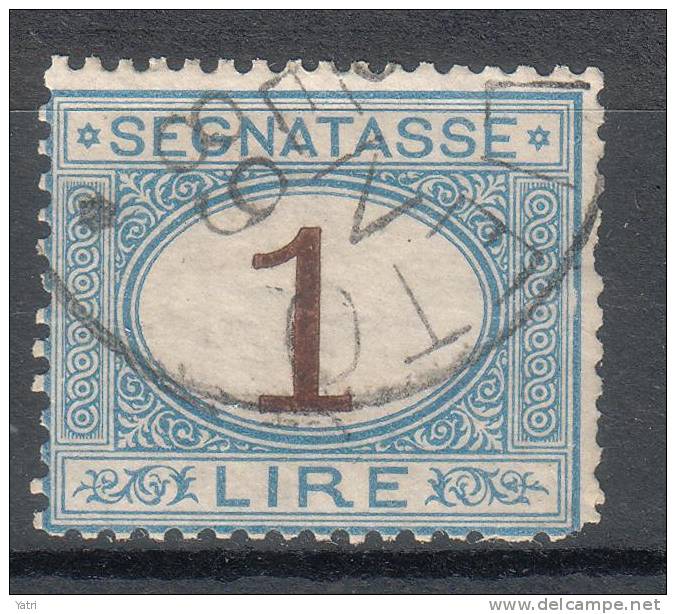 Regno D'Italia - 1870 Segnatasse (usato) 1 Lira Azzurro Chiaro E Bruno Sass. 11 - Taxe