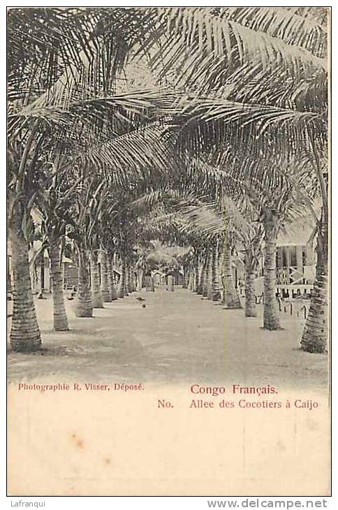 Afrique - Africa - Congo -ref A473-allee Des Cocotiers A Caijo - Carte Bon Etat    - - French Congo