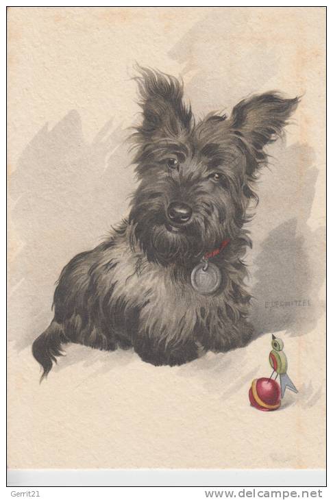 TIERE - HUNDE - SCOTCH-TERRIER 1950 - Hunde