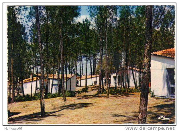 CPM De Montendre Les Pins   Village De Vacances LA FORÊT - Montendre